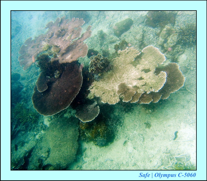 2008 - 07 - Perhentian - 034